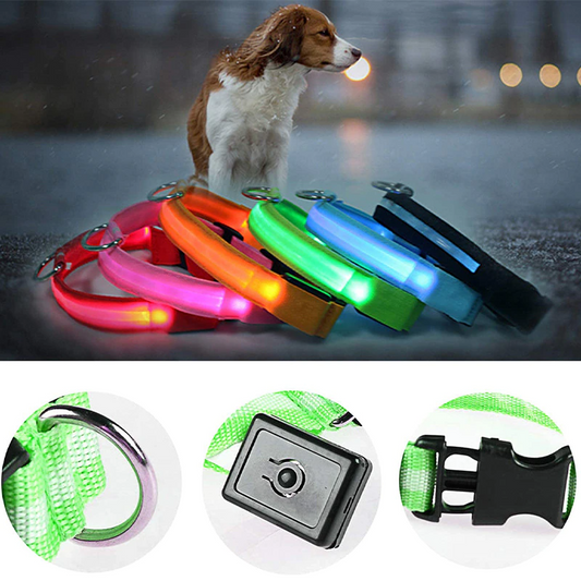 LED Dog Collar Light Up - Adjustable Blinking Flashing Safety Collar for Pets - Shopiville