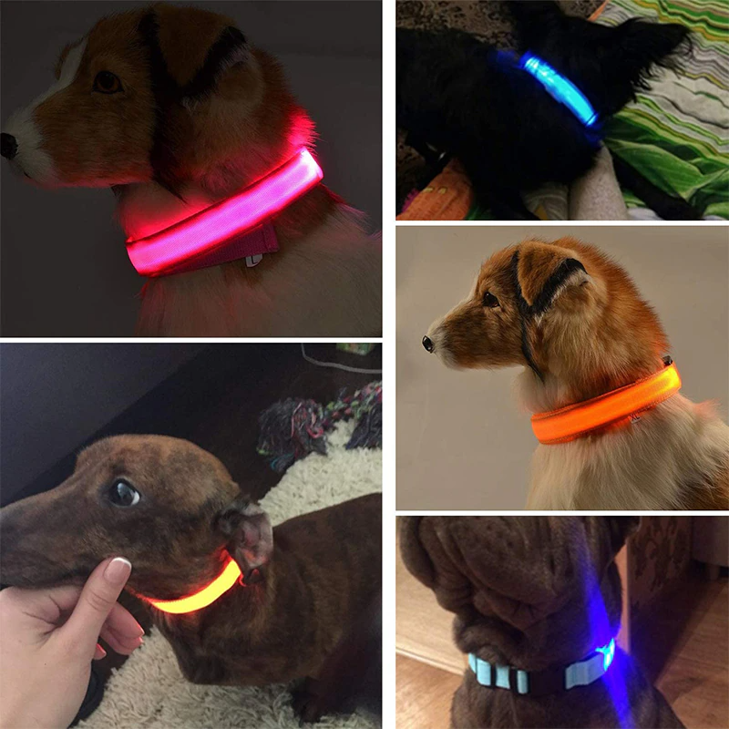 LED Dog Collar Light Up - Adjustable Blinking Flashing Safety Collar for Pets - Shopiville