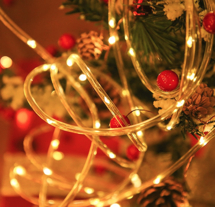 33FT LED Strip Rope Light - 100 LED Tube String for Outdoor Garden Party