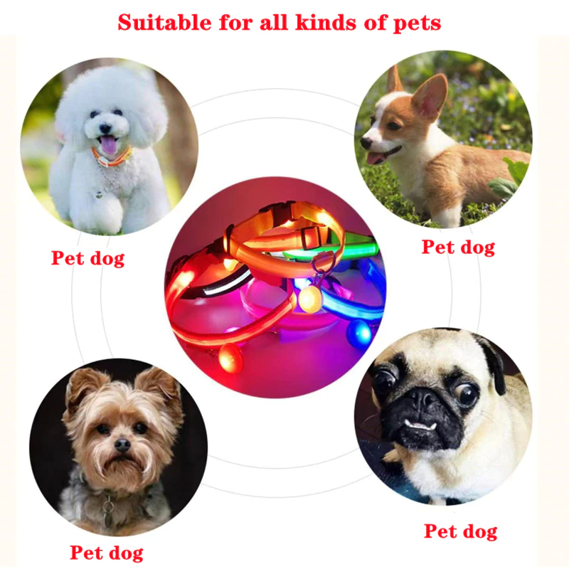 LED Dog Collar Light Up - Adjustable Blinking Flashing Safety Collar for Pets - Shopiville